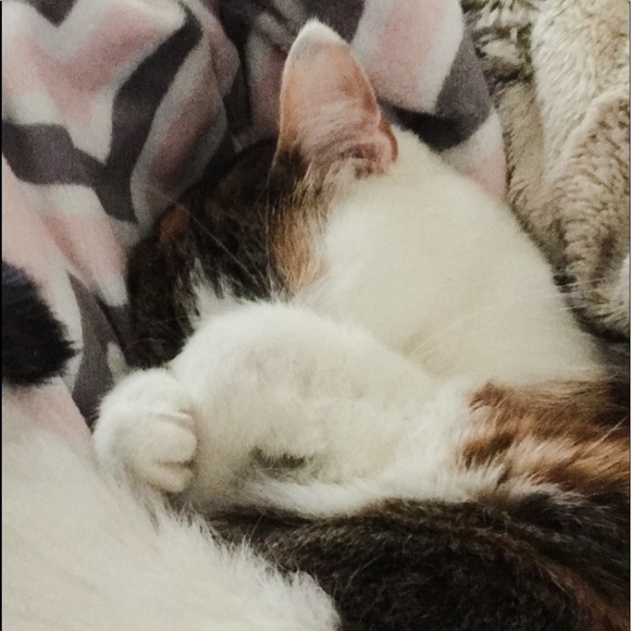 Meet your Posher, Brooke - Picture 2 of 2